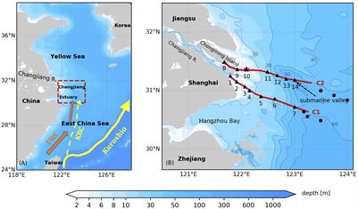 Spatial Variations of Phytoplankton Biomass Controlled by River Plume Dynamics Over the Lower Changjiang Estuary and Adjacent Shelf Based on High-Resolution Observations